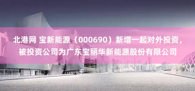 北港网 宝新能源（000690）新增一起对外投资，被投资公司为广东宝丽华新能源股份有限公司
