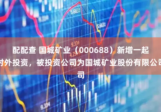 配配查 国城矿业（000688）新增一起对外投资，被投资公司为国城矿业股份有限公司