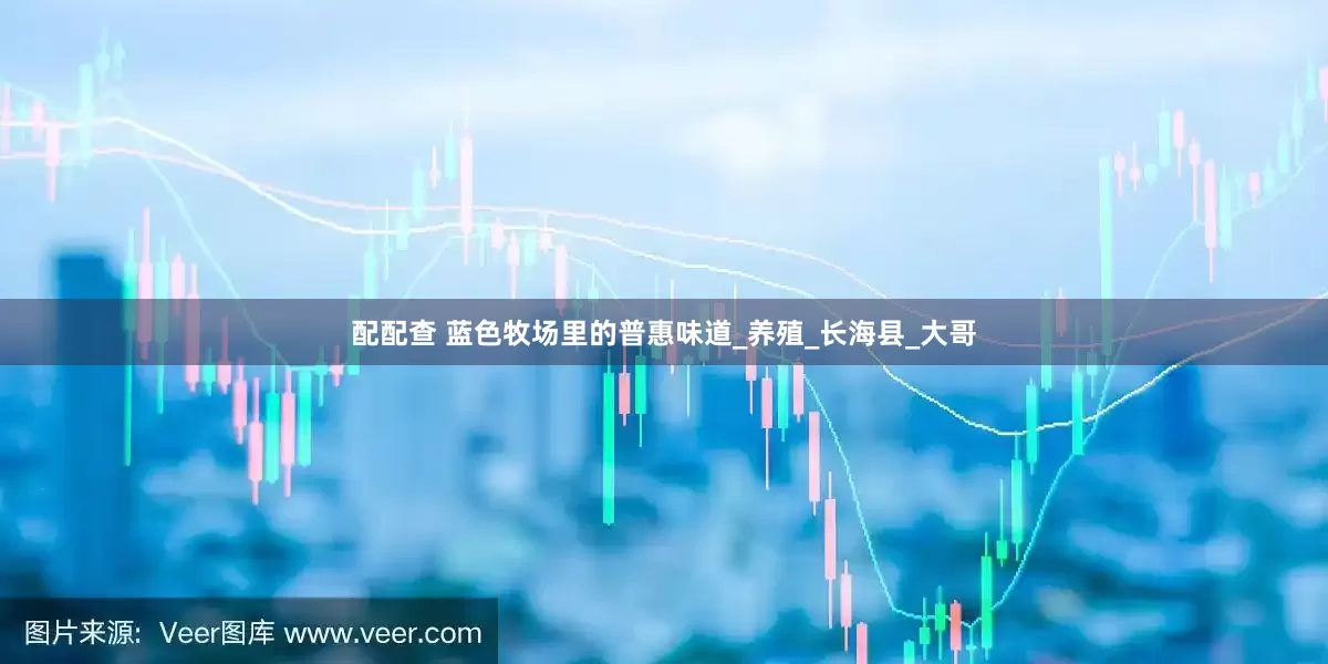 配配查 蓝色牧场里的普惠味道_养殖_长海县_大哥