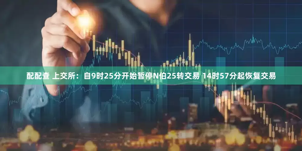配配查 上交所：自9时25分开始暂停N伯25转交易 14时57分起恢复交易